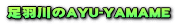 ���H���AYU-YAMAME
